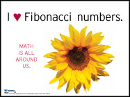 I Heart Fibonacci_large